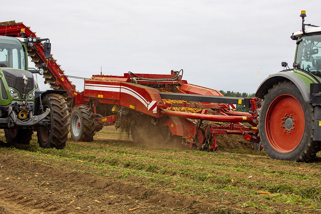 Pan Anglia - Root Crop